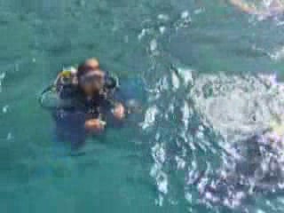 صور Diving in Kash غوص