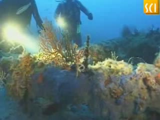 صور Diving in Omis غوص