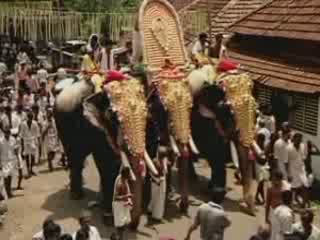 صور Elephant Festival in India تسلية