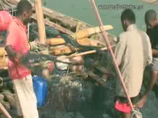 صور Fishing in Zanzibar صيد السمك