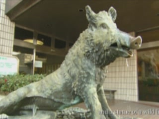 صور Onomichi Street Sculpture تمثال