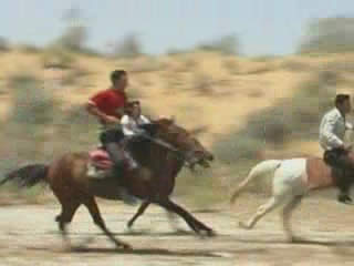 صور Uzbekistan, tourism سياحة