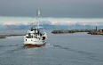 Whale Safari, Andenes صور