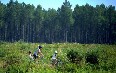 Aquitaine, biking 写真