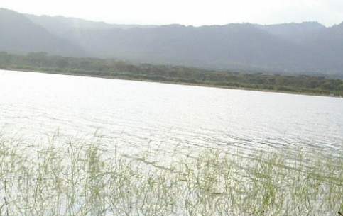 At the Lake Chamo one can see swans, flamingos, pelicans, hippos and crocodiles, catch huge Nile perch and predatory tiger-fish 