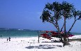 Mombasa, diving صور