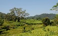 Nepal, landscape 写真