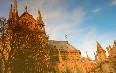 Notre Dame de Paris صور