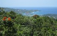 Port Antonio Images