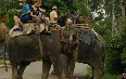 Safari in Nepal  写真