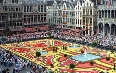 Brussels for Pleasure 图片