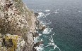 Cape Point Images