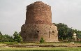 Dhamek Stupa صور