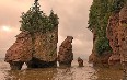 Hopewell Rocks صور