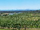 Hunter Valley (オーストラリア)