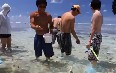 Lady Elliot Island Activities صور