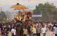 Lao Elephant Festival 写真