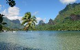 Moorea Images