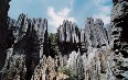 Shilin Stone Forest صور