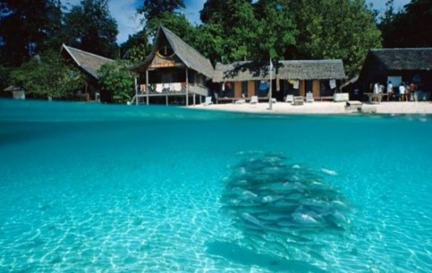 Sipadan diving - multitude species of exotic fish and coral anthozoan; submarine caves; one of 3 best diving locations around the world.