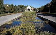 Tajikistan Botanical Garden 图片