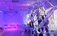 minus5 Ice Bar Images